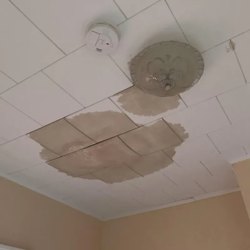 Ceiling Water Damage Repair in Medfield, MA