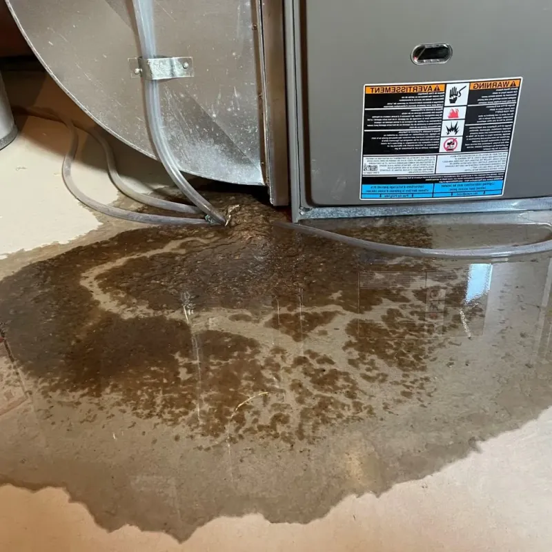 Pipe Burst and Leak Restoration in Medfield, MA